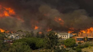 آتش سوزی در کالیفرنیا - آتش سوزی در آمریکا - جنگل های آمریکا
